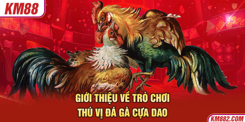 Giới thiệu về trò chơi thú vị đá gà cựa dao