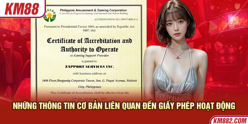 Những thông tin cơ bản liên quan đến giấy phép hoạt động