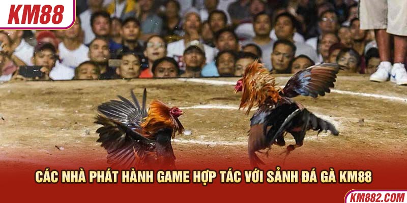 Các nhà phát hành game hợp tác với sảnh đá gà KM88