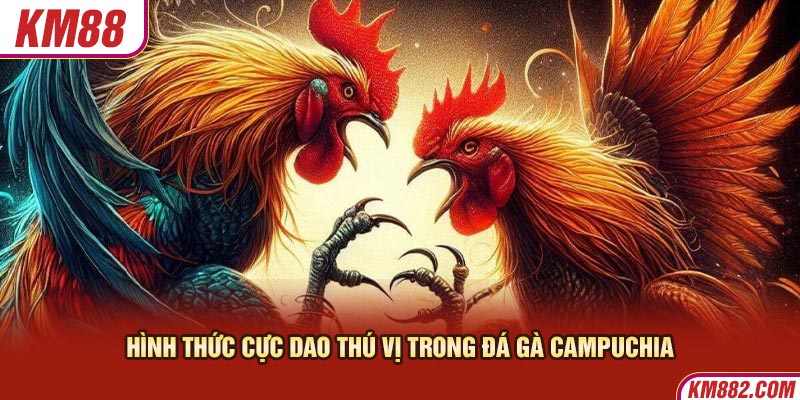 Hình thức cực dao thú vị trong đá gà Campuchia