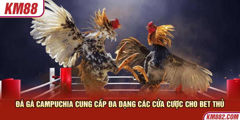 Đá gà Campuchia cung cấp đa dạng các cửa cược cho bet thủ