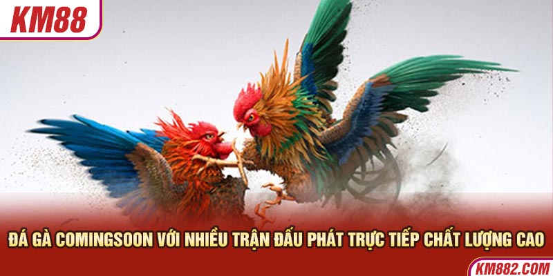 Đá gà COMINGSOON với nhiều trận đấu phát trực tiếp chất lượng cao