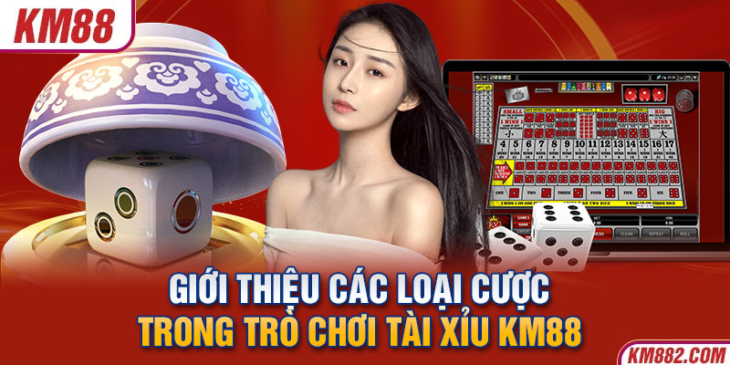 Giới thiệu các loại cược trong trò chơi tài xỉu KM88